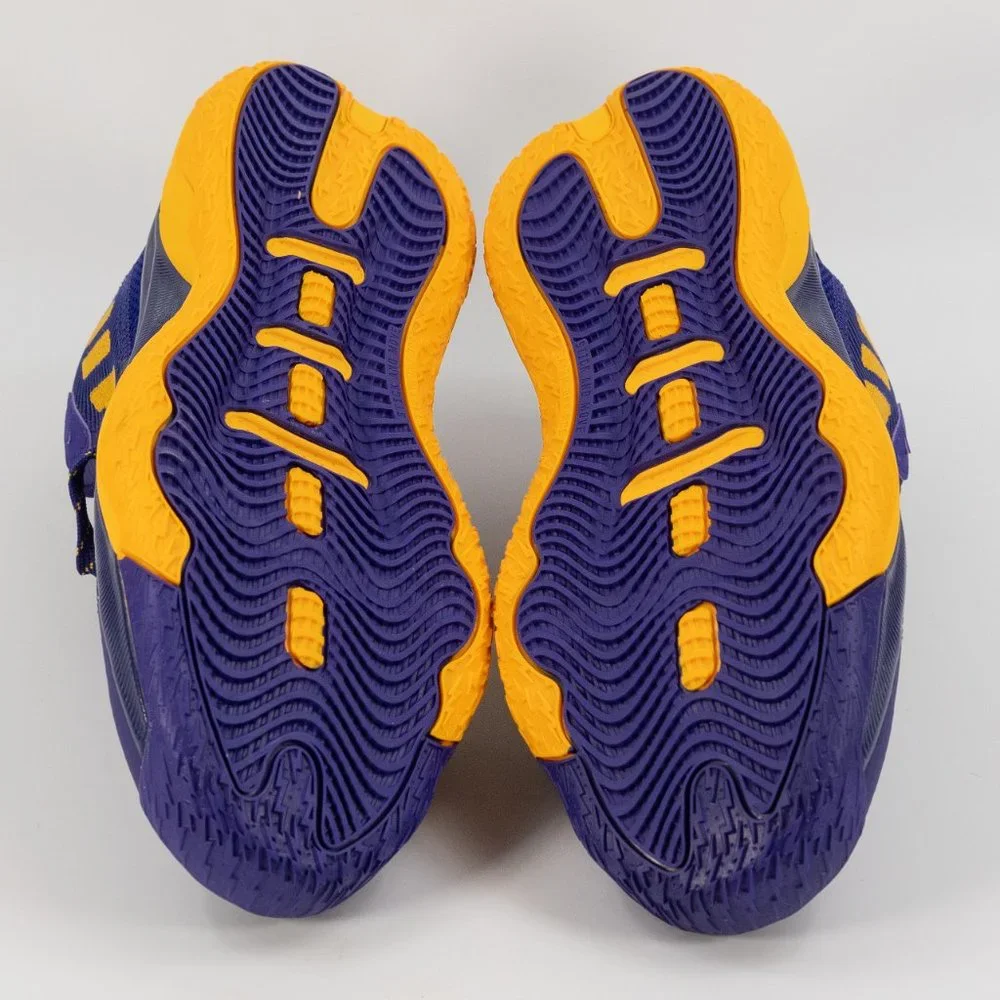 Adidas Dame 8 University of Washington Huskies PE GZ4484 size 10.5